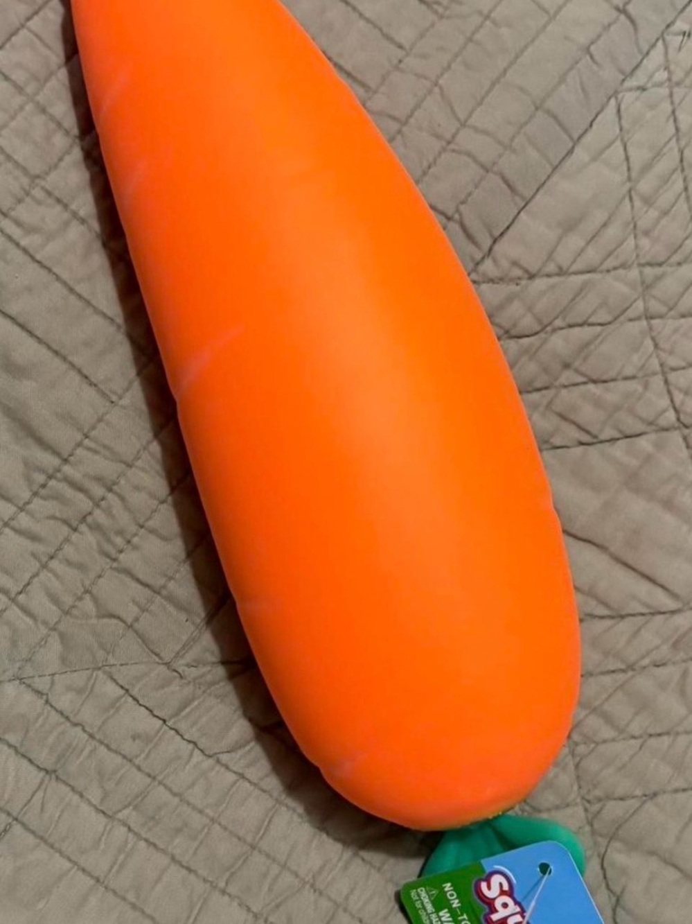 Sunny Days Squishy Carrot